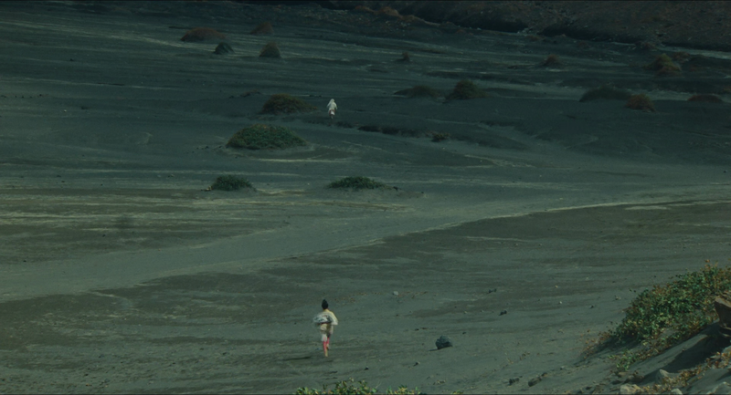 In the foreground is a small figure, the Fool, who is running after a smaller figure, Hidetoro, about fifty feet away. The landscape is sandy and wet.